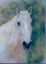 "White Horse" 24 x 20 Pastel on Art Panel